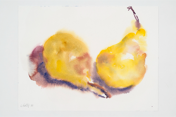 Two Pears, Watercolour on Rembrandt, 12x9 in.